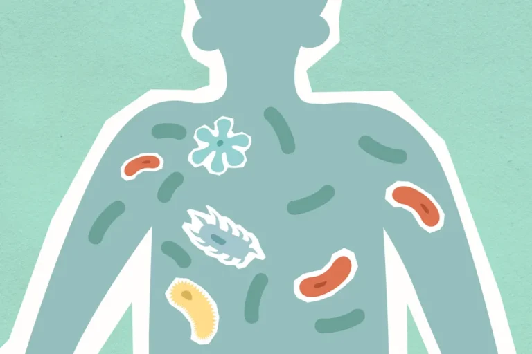 Intestino delgado con sobrecrecimiento bacteriano SIBO explicado